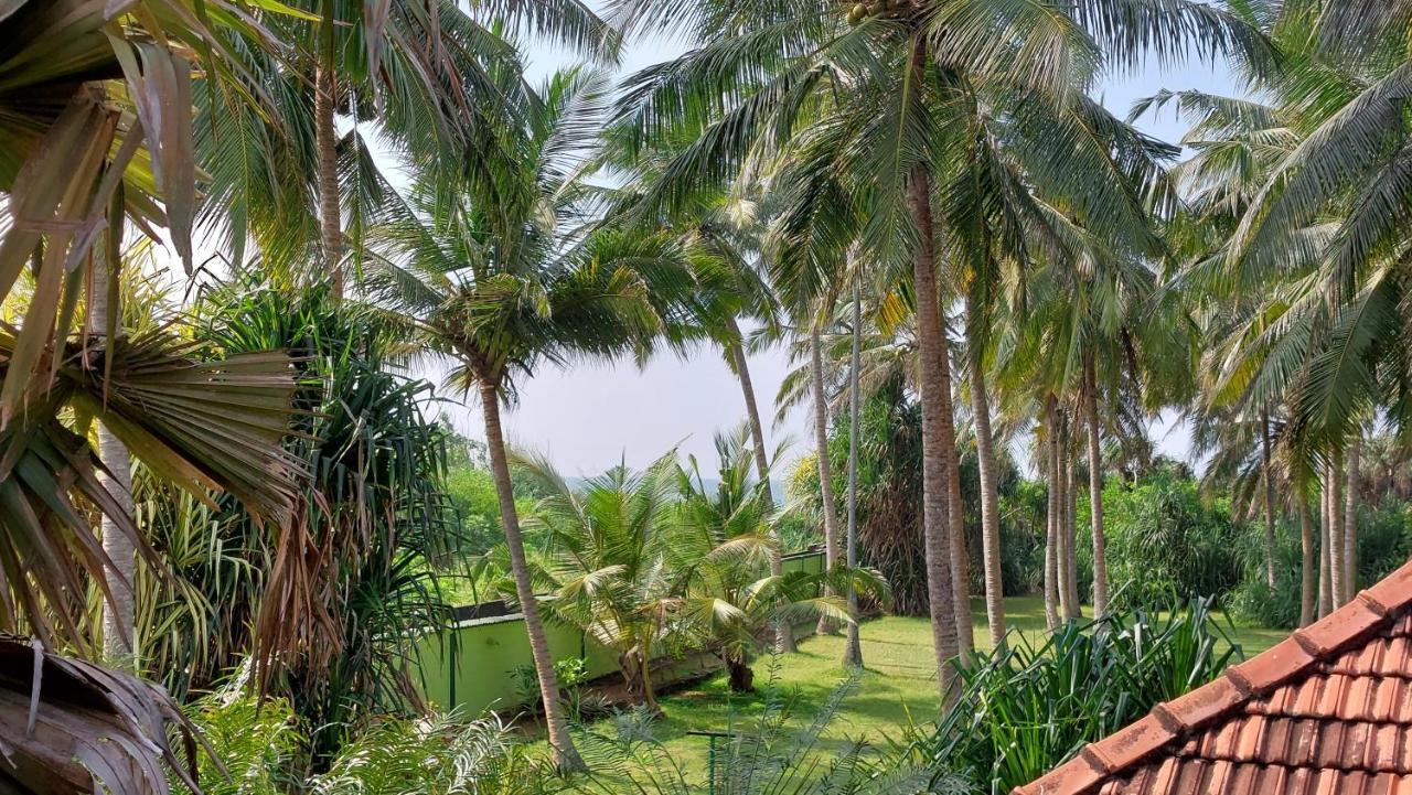 Bandulas Beach House Hikkaduwa Exteriör bild